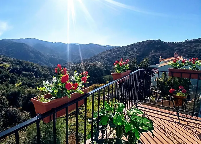 La Casa De Mis Padres