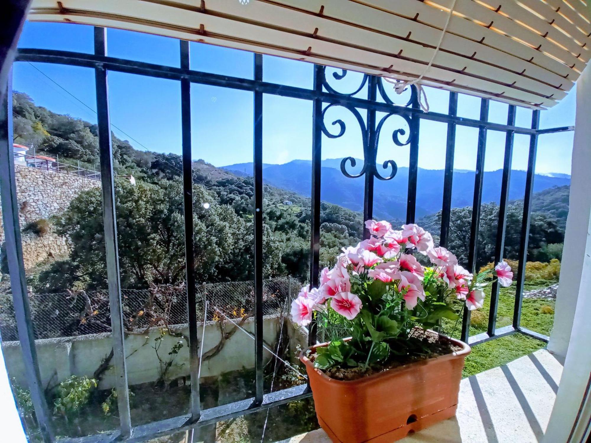 La Casa De Mis Padres *